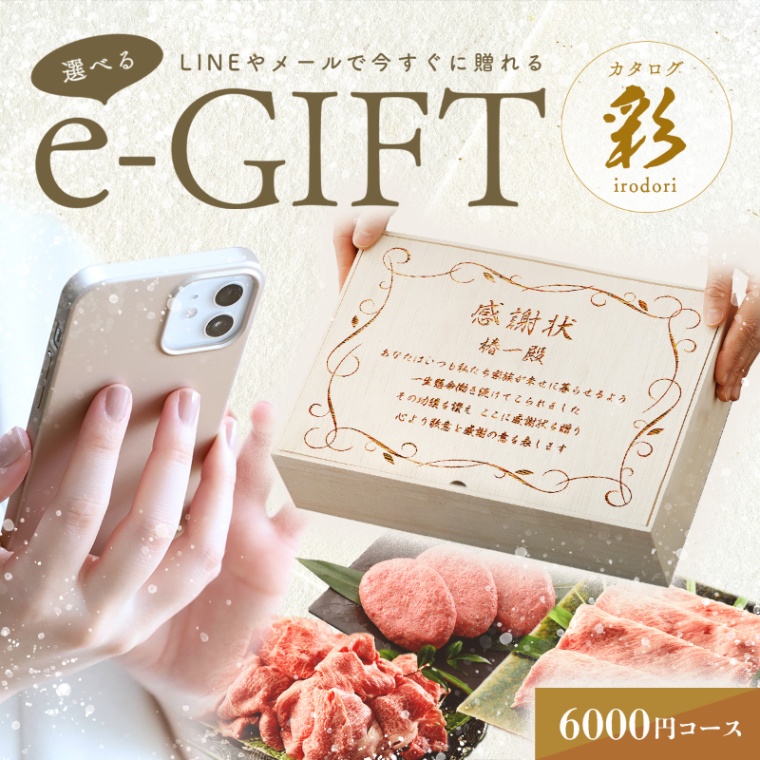 感謝状 オリジナル 名入れ お肉の選べるe-GIFTカタログ 彩