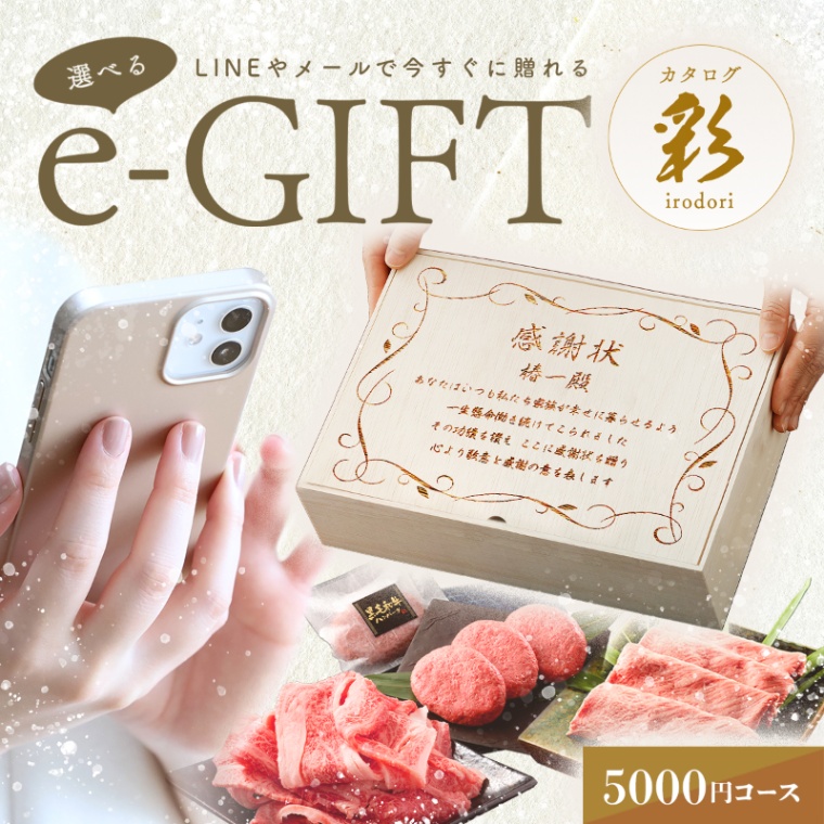 感謝状 オリジナル 名入れ お肉の選べるe-GIFTカタログ 彩